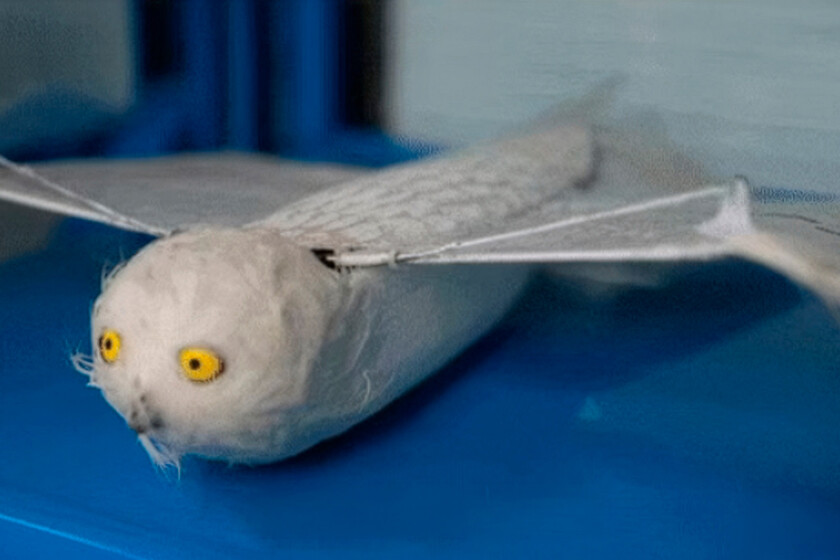 Durante años hemos asociado los drones a las hélices: en China exploran una alternativa inspirada en la naturaleza