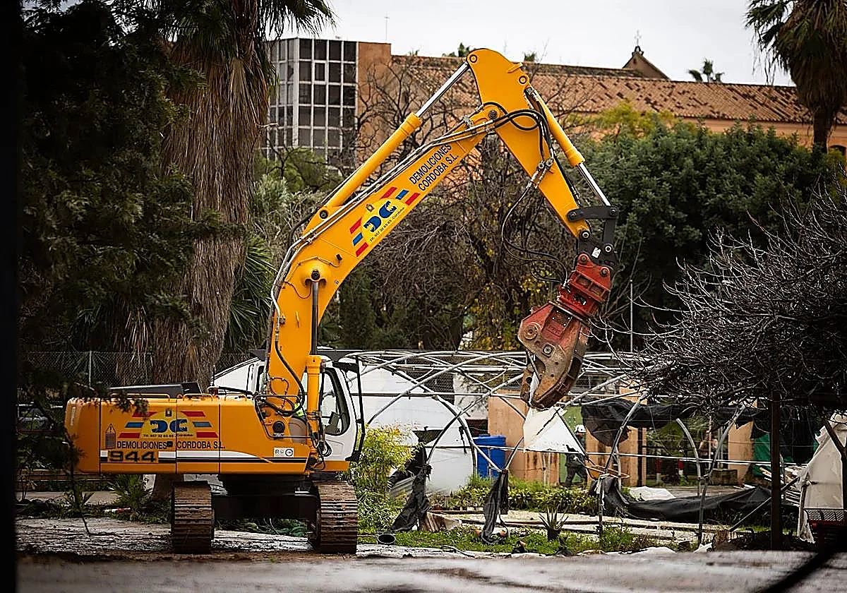 Una asociación animalista denuncia a la Fiscalía que las obras del tercer hospital ponen en peligro una colonia de gatos