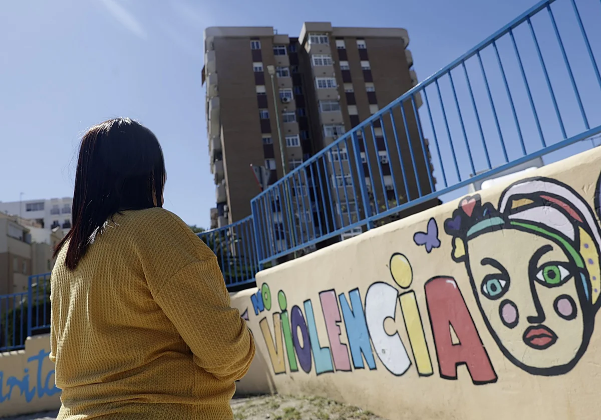 Un hombre y 49 mujeres fueron asesinados por su pareja o ex el año pasado