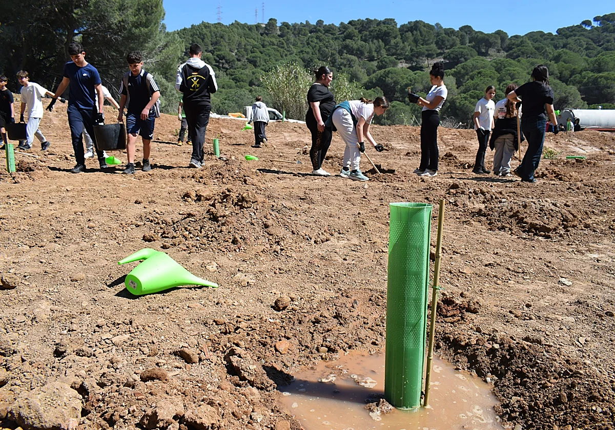 Árboles, estanques y refugios para aves y murciélagos en el monte de Alhaurín de la Torre