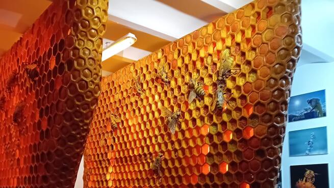 Visita guiada al Museo de la Miel en Colmenar