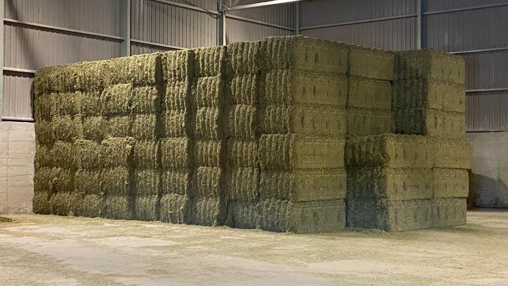 La crisis en Oriente Próximo pone en jaque a la alfalfa: "No recuerdo una situación tan complicada como esta"