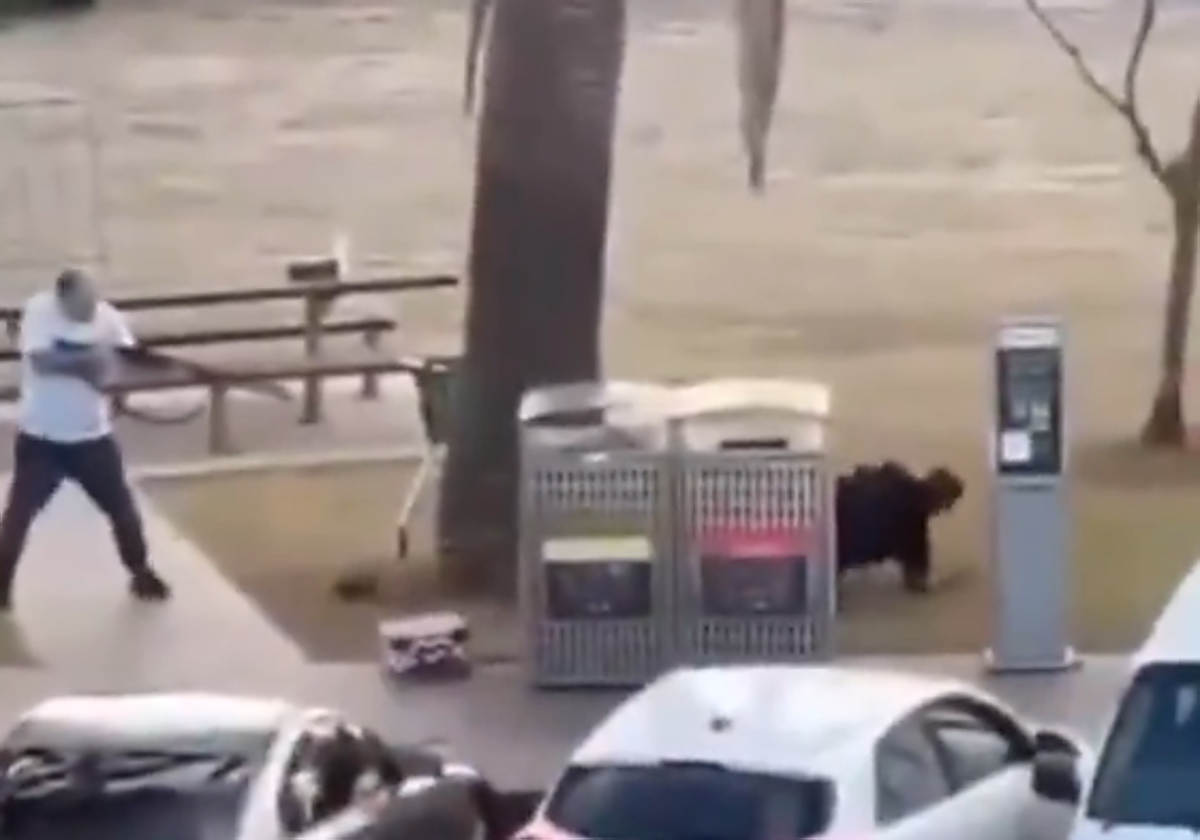 El heroico acto de un hombre al desarmar a uno de los terroristas de Sídney