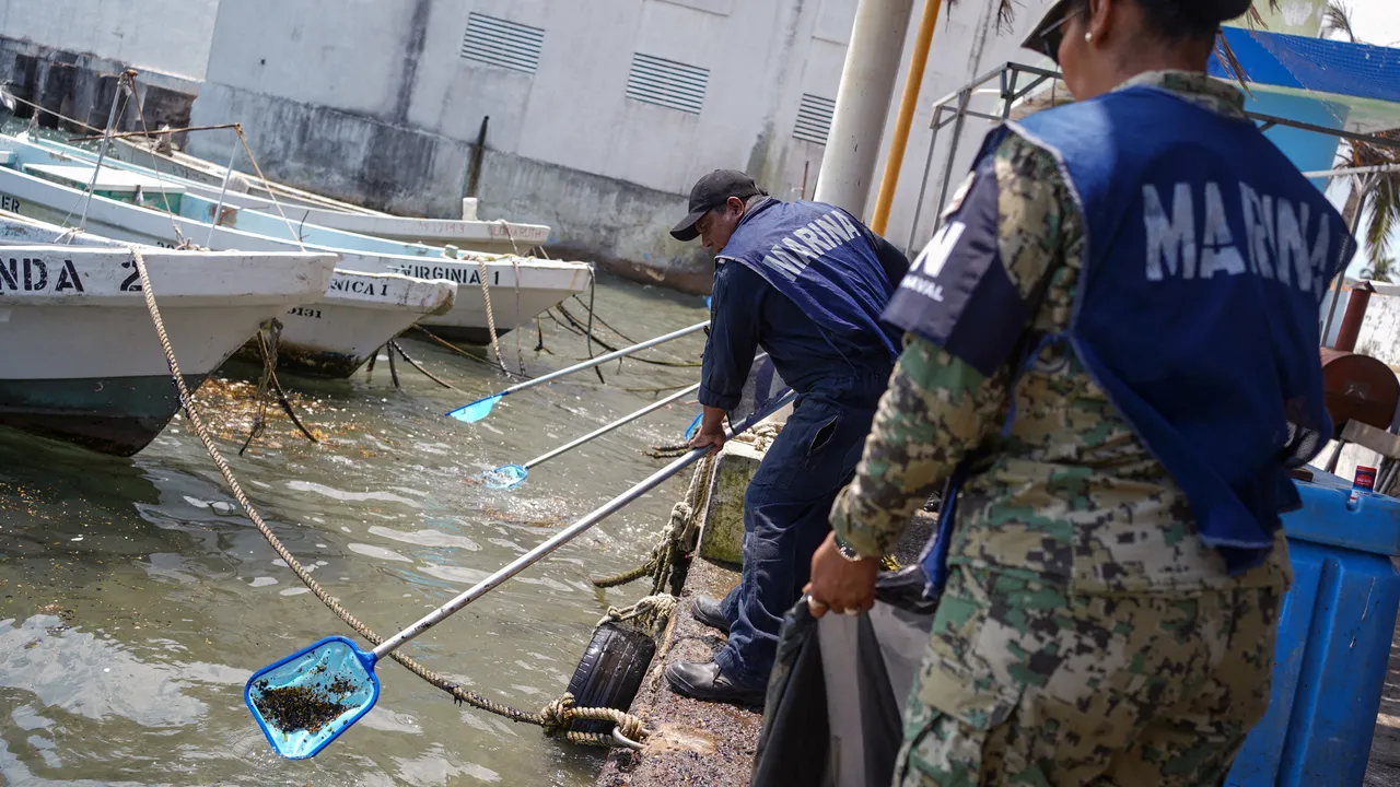 Más de 130 derrames en 15 años: el historial que enmarca el nuevo incidente en el Golfo de México