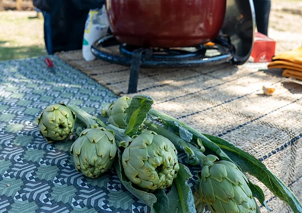 La huerta navarra da la bienvenida a la primavera