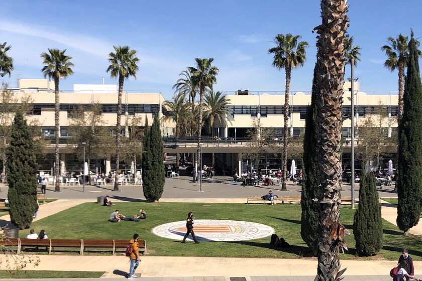 Predecir una sequía con seis meses de antelación era una utopía. La UPV lo ha logrado con un sistema que usa IA