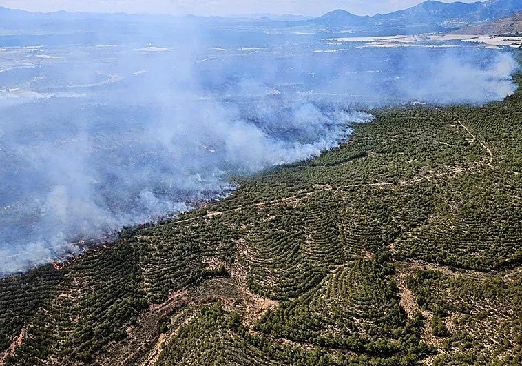 Un incendio calcina 400 hectáreas de monte bajo en Sierra Espuña, Murcia