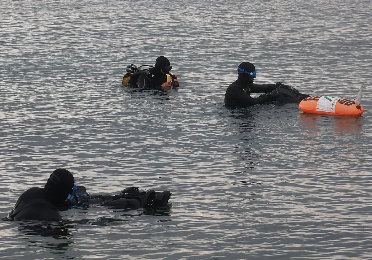 Instalan en Calahonda la novena estación de seguimiento de la posidonea oceánica en Málaga