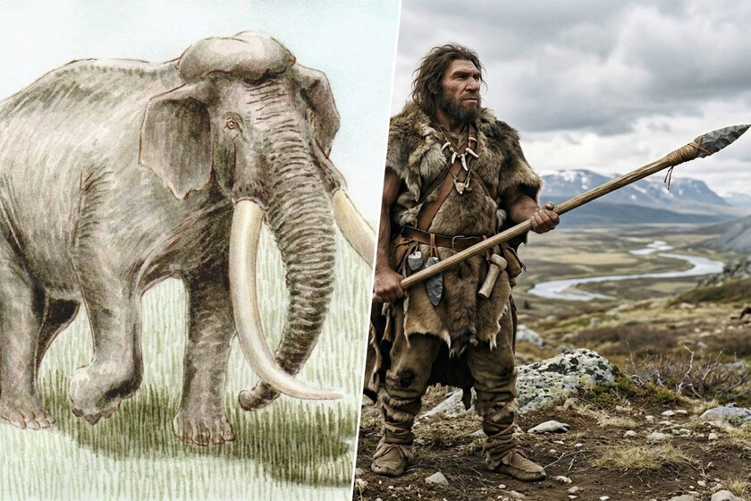 La imagen del neandertal bruto y carroñero es historia: la ciencia ilustra que cazaban a las bestias más grandes de su época