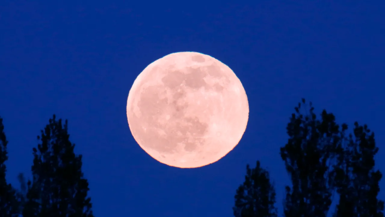 Cómo y cuándo ver la Luna Rosa durante esta Semana Santa