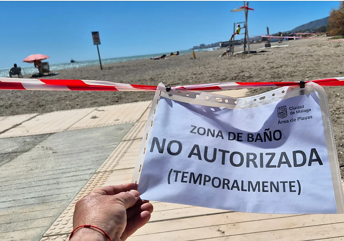 El calvario litoral en Guadalmar: bacterias, cañas y obras