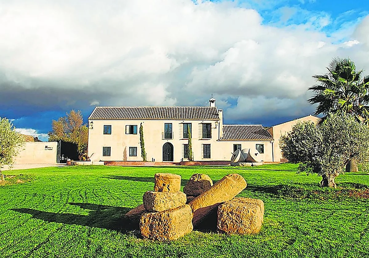 Finca La Torre, de Antequera, lo vuelve a hacer: finalista en los Premios Mejores Aceites de España