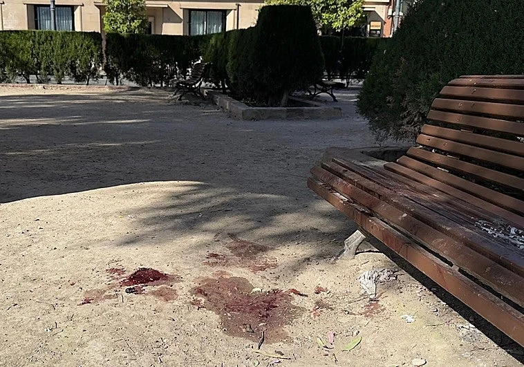Matan por apuñalamiento a traición a un sintecho mientras dormía en un banco de Valencia