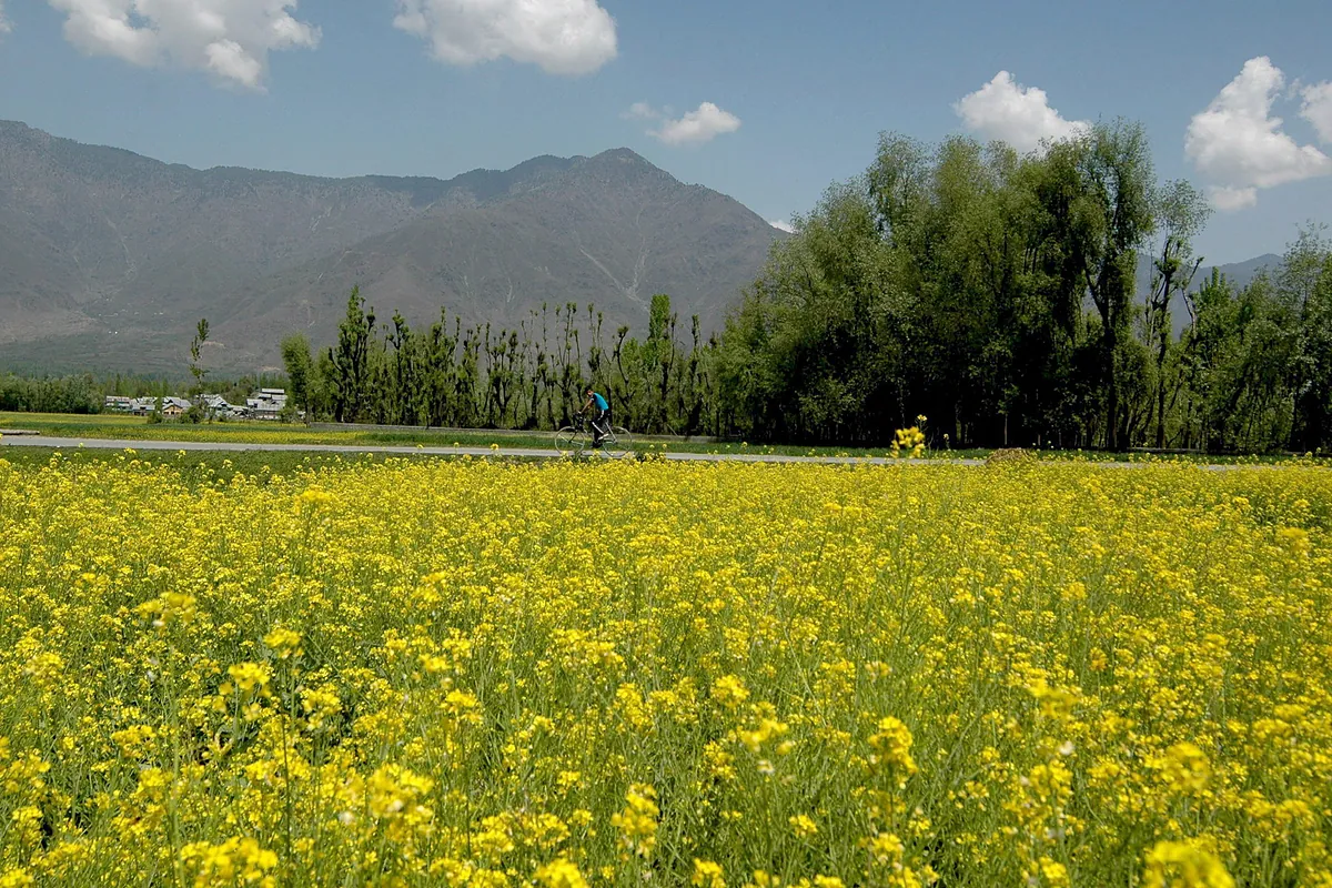 La guerra en Irán desata una crisis alimentaria a nivel mundial
