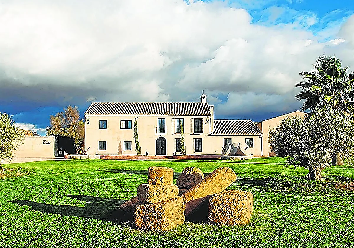 Malaga province producer once again among best Spanish oilve oil