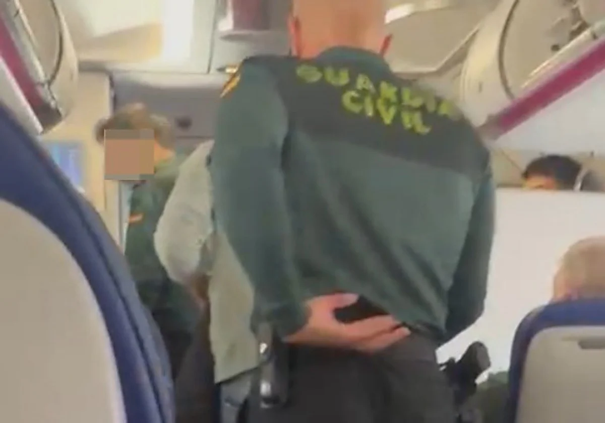 Un pasajero conflictivo obliga a retrasar un vuelo en Málaga tras entrar por la fuerza en el avión