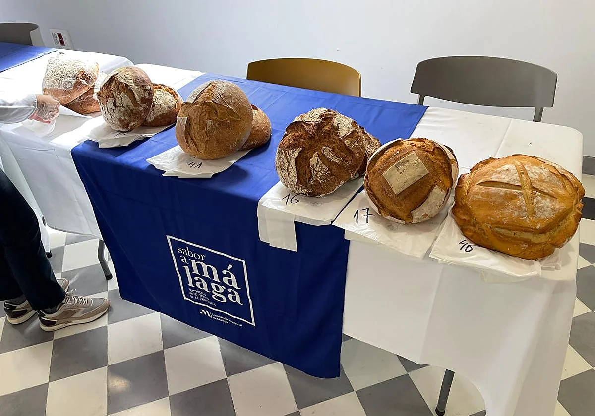 La ruta para buscar a los 50 mejores panaderos de España pasa por Málaga