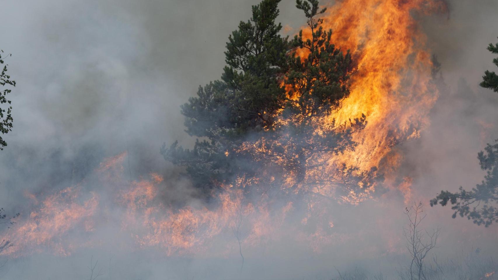 La mortal consecuencia de la contaminación por los incendios: aumentan el ictus y su gravedad