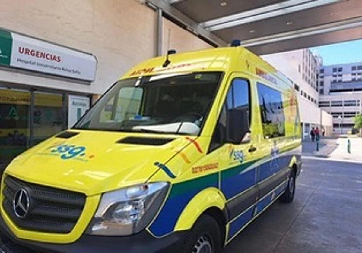 Servicios Sociosanitarios Generales (SSG) culmina 2025 con la adquisición de 300 nuevas ambulancia