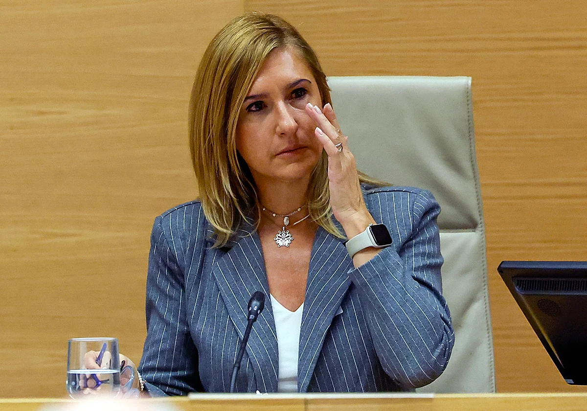 Pradas insiste en su relato al denunciar fallos de Aemet y la CHJ y pide disculpas a las víctimas