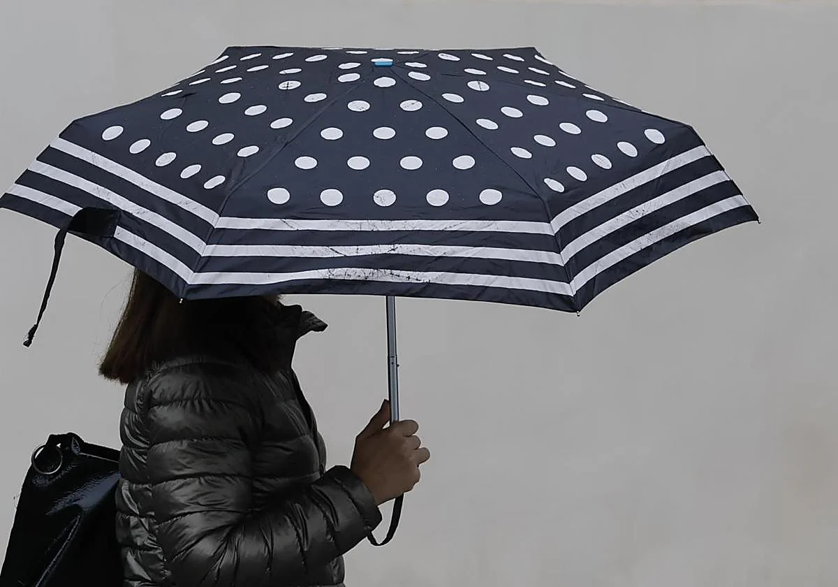 Aemet alerta de lluvias «abundantes, localmente fuertes y persistentes» en el sur de Andalucía este martes