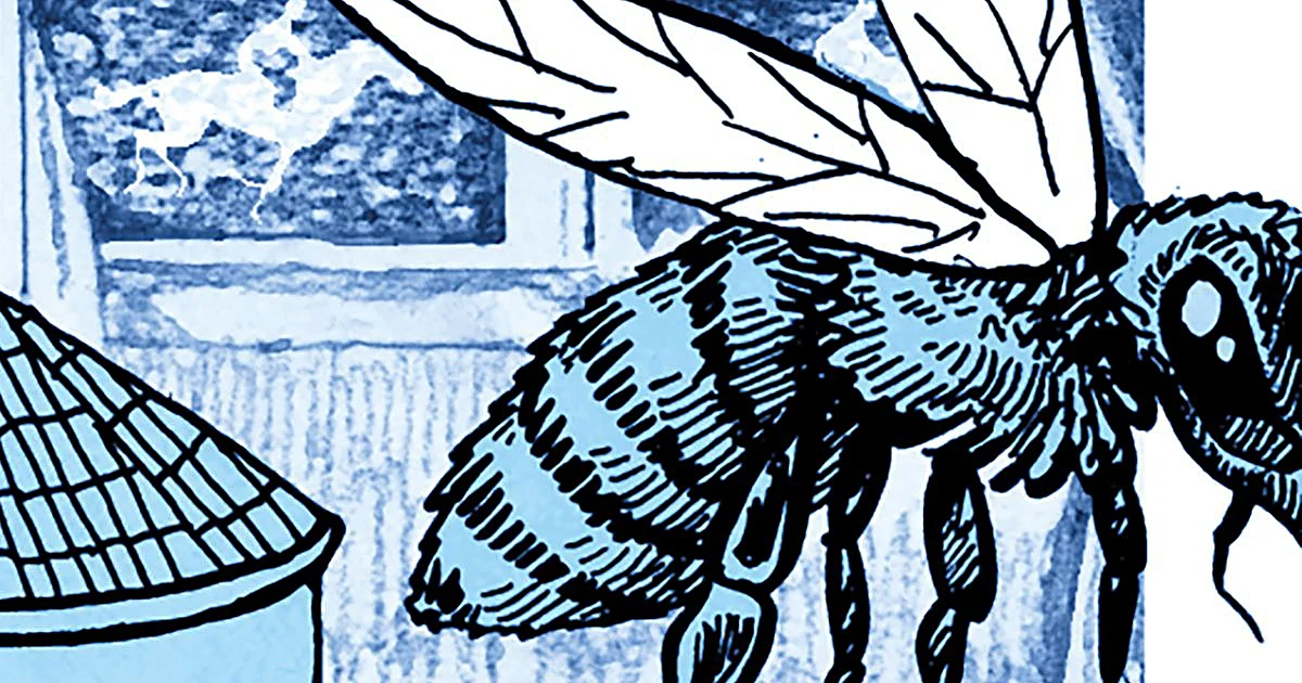 Santo Stefano Rotondo