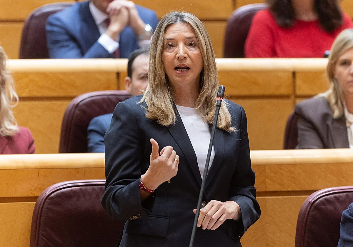 El PSOE niega al Senado las facturas de los gastos de Ábalos, Koldo y Cerdán