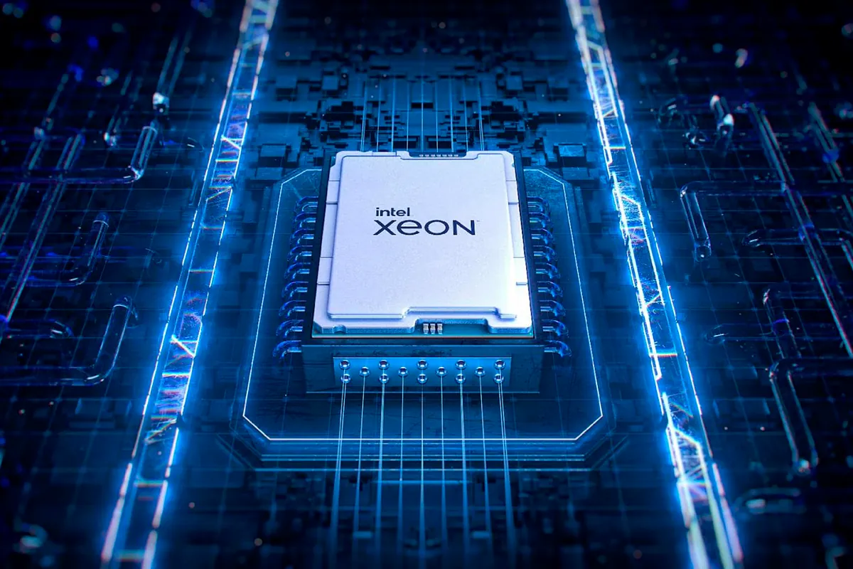 Los chips: desatados y sin techo