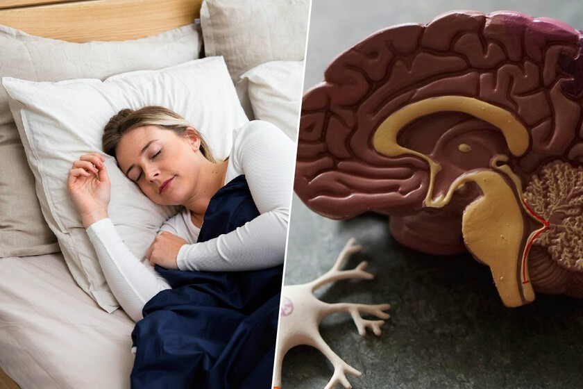 Olvidar los sueños al despertar parecía una anécdota sin importancia. Un macroestudio español lo ha vinculado con el alzhéimer