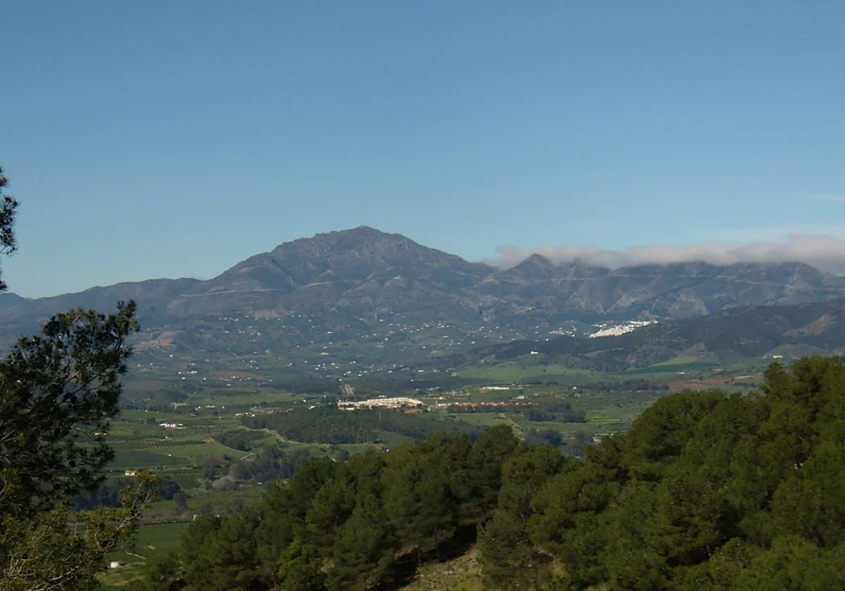 Government shelves Zalea solar plant project in Malaga after developer withdraws