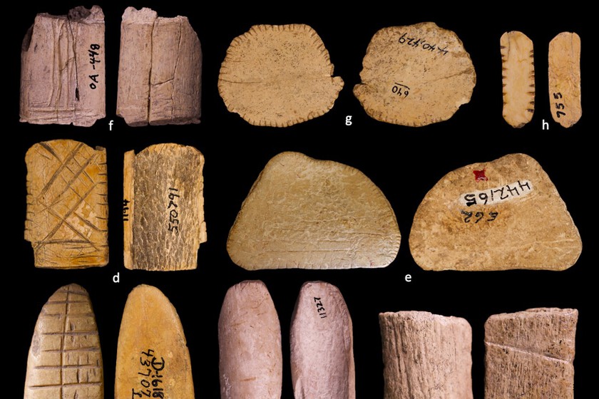 Si alguien piensa que apostar es un vicio moderno, acabamos de encontrar un juego de azar de más de 12.000 años