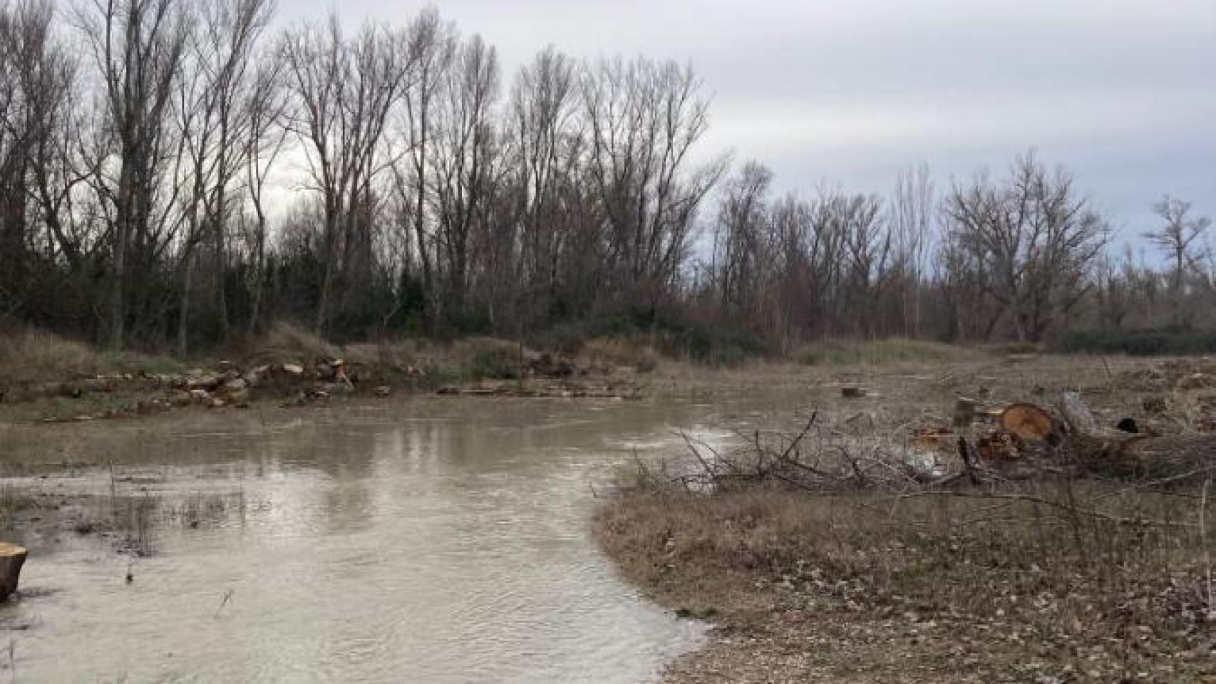 Encuentran un cuerpo sin vida en la ribera del río Gállego a su paso por Movera (Zaragoza)