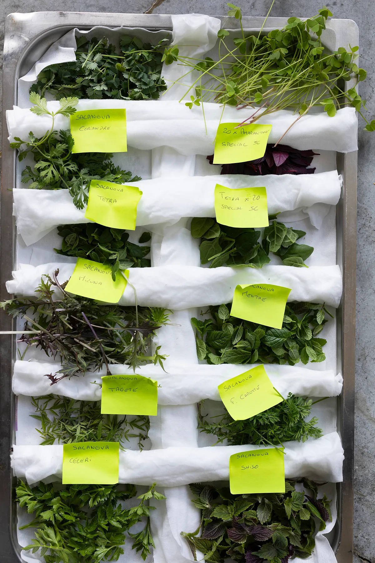 Ferran Adrià vuelve a crear un menú 15 años después de cerrar elBulli