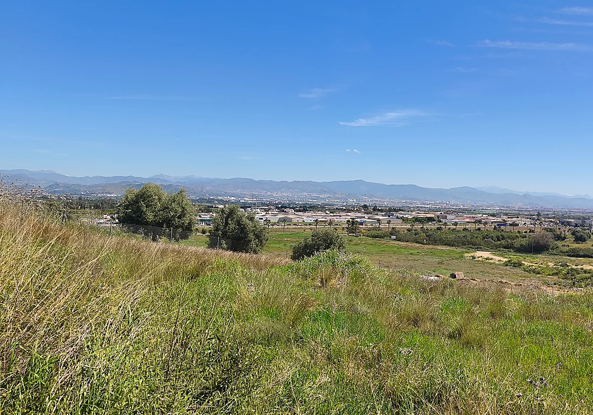 Alhaurín de la Torre aprueba un desarrollo urbanístico: 196 viviendas y más de medio millón de euros de ingresos para las arcas municipales