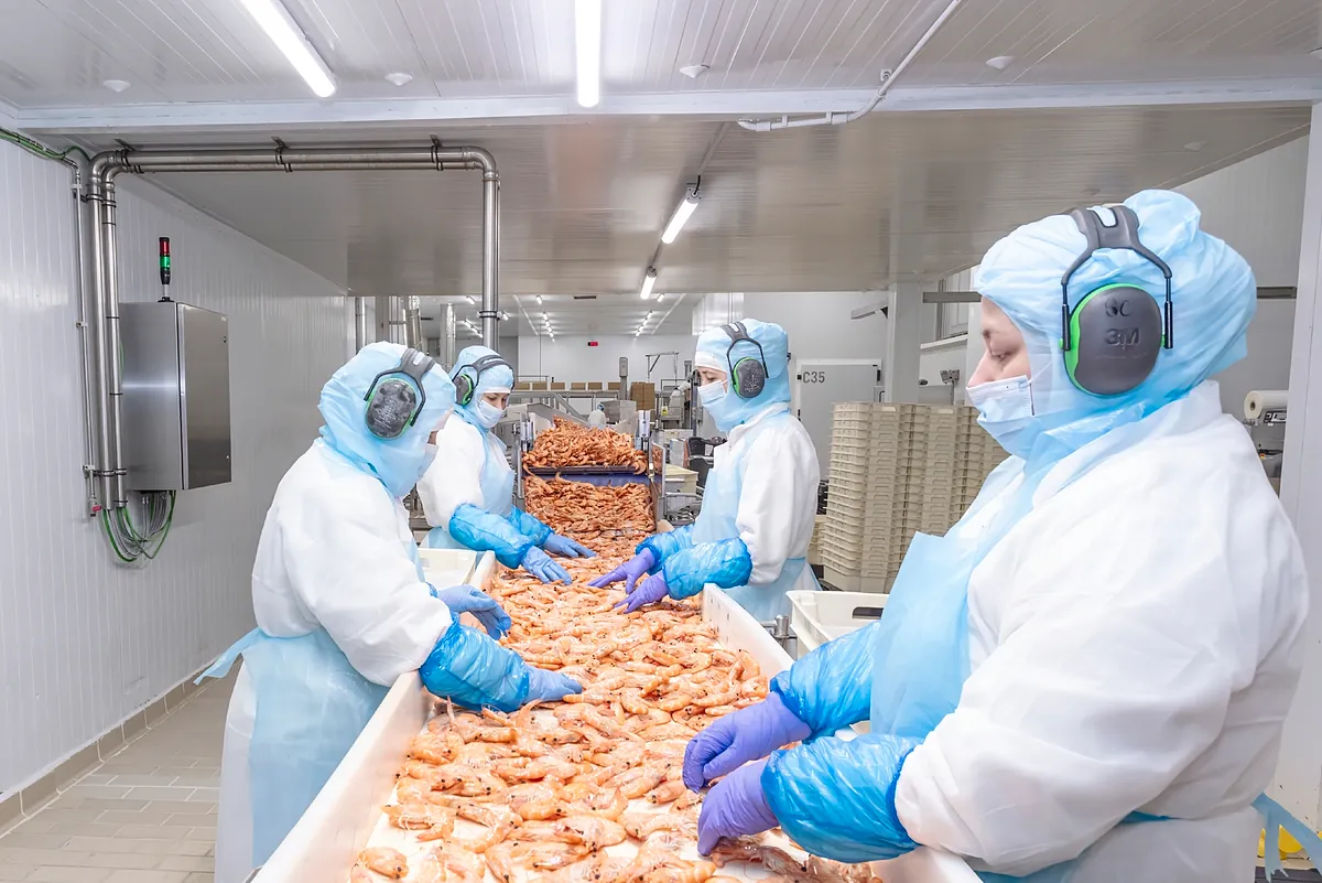 Profand crece al calor de Mercadona: factura 1.116 millones y duplica beneficios