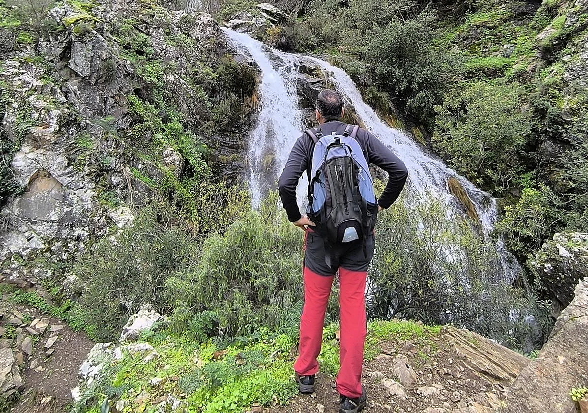 Planes de primavera que no fallan en Málaga: ruta, pueblo y dónde comer bien