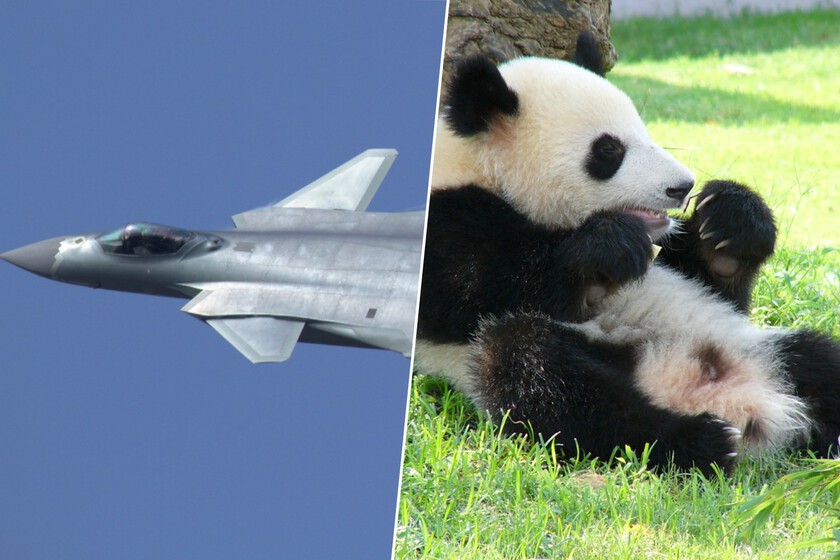 No es que China haya amenazado con sus cazas a Japón, es que le ha mandado un mensaje inequívoco: se acabaron los osos panda