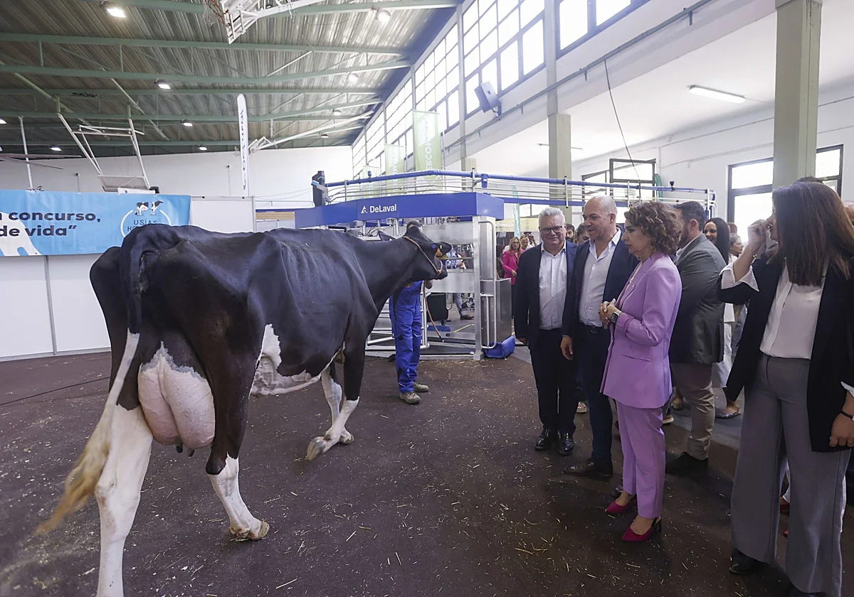 Sanidad o vacío: la encrucijada electoral de María Jesús Montero