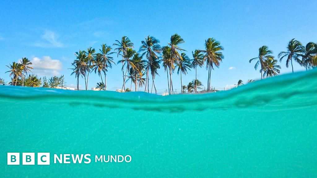 La "Isla del Ayer", la "Isla del Mañana" y otras islas con fronteras curiosas que comparten varios países