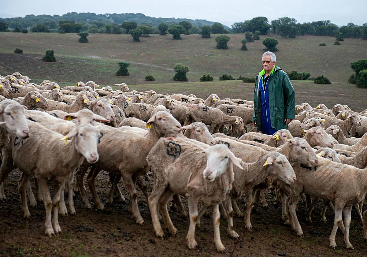 La UE trata de cerrar el acuerdo de Mercosur pese al rechazo de Francia