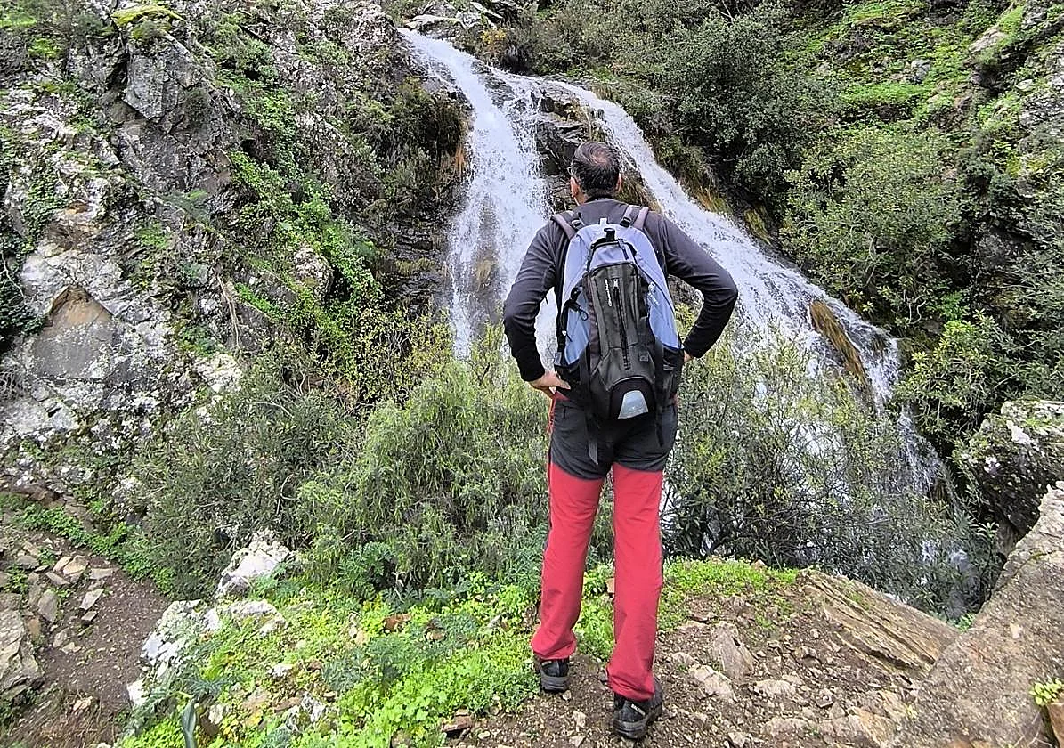 Spring plans that you can't miss in Malaga: routes, villages and places to eat