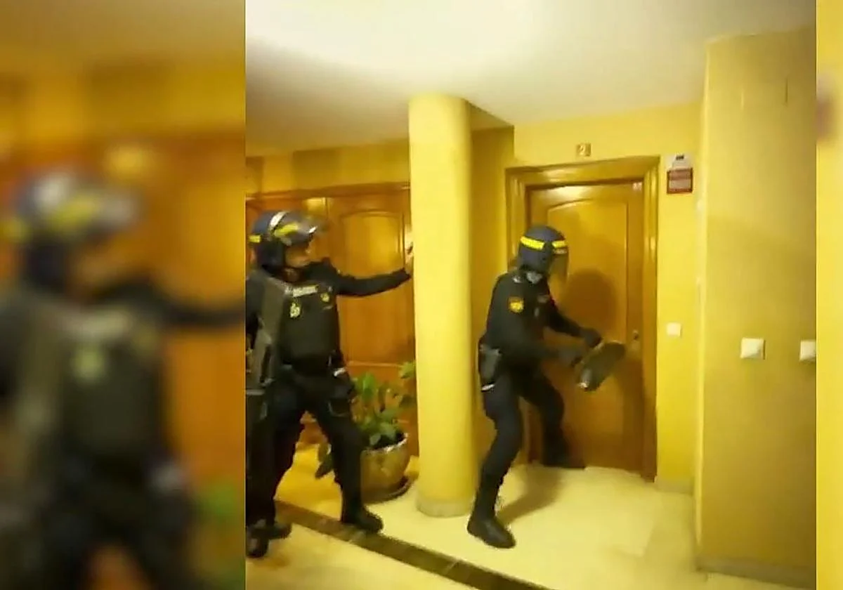 Caen dos grupos dedicados al tráfico de drogas dirigidos desde la Costa del Sol: hay 19 detenidos