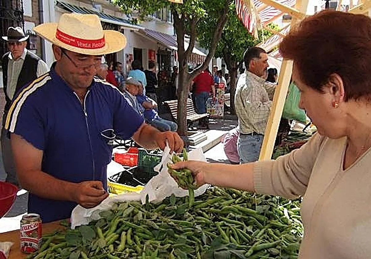 Villanueva de la Concepción celebra su XIX Día de la Haba con varias actividades este domingo