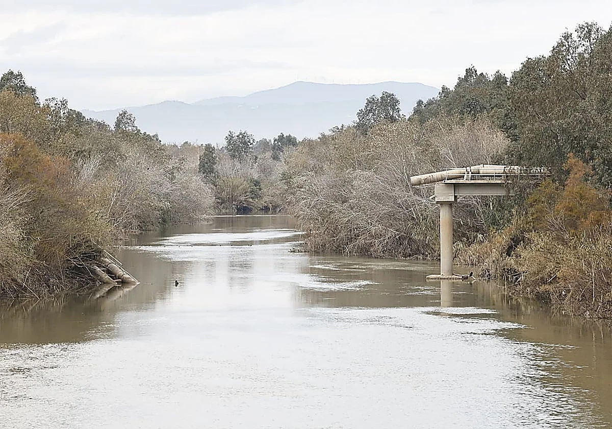 Málaga contrata la tubería que sustituye a la que cayó al río en una borrasca: el baño sigue prohibido en Arraijanal