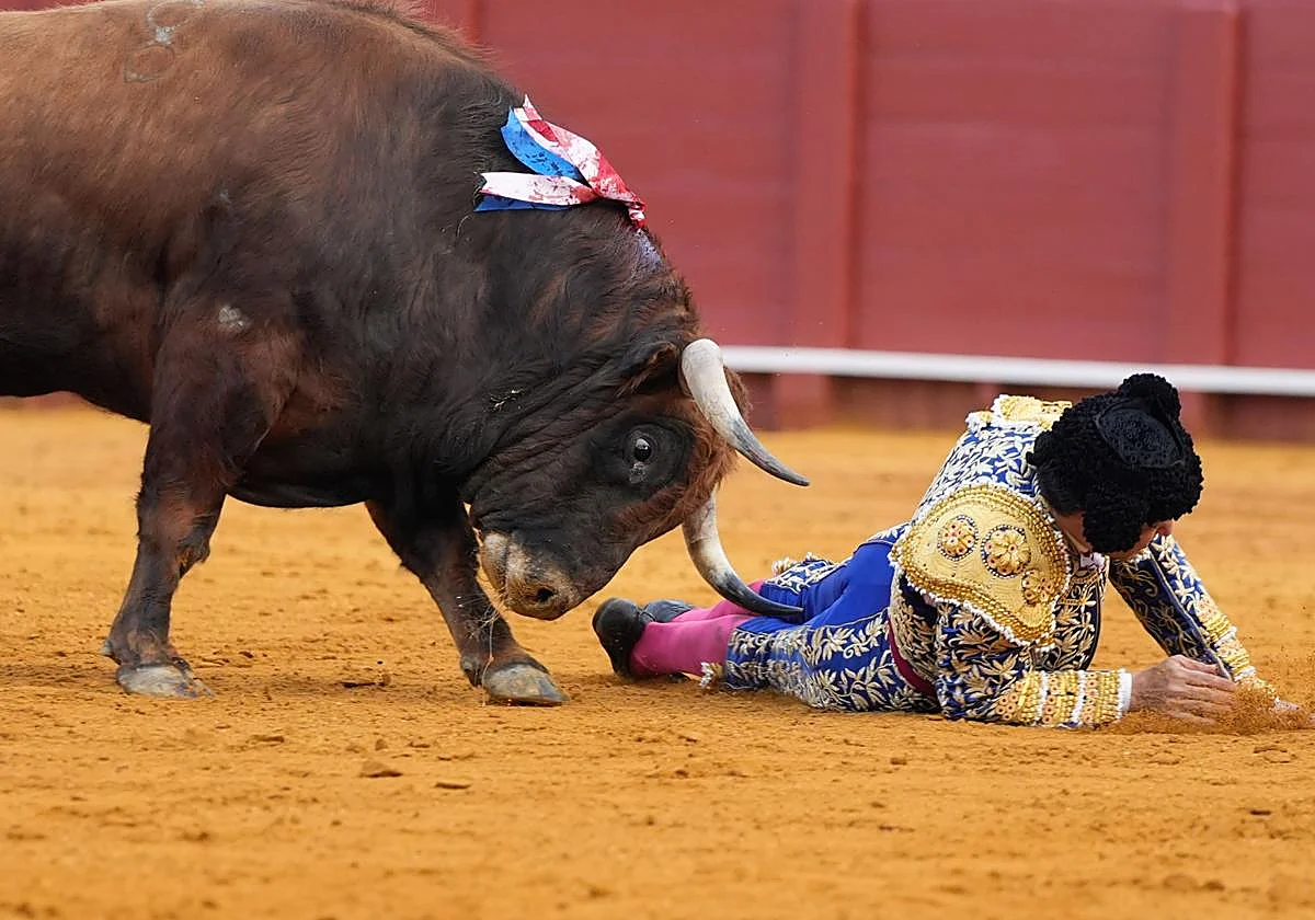 Morante de la Puebla evoluciona favorablemente