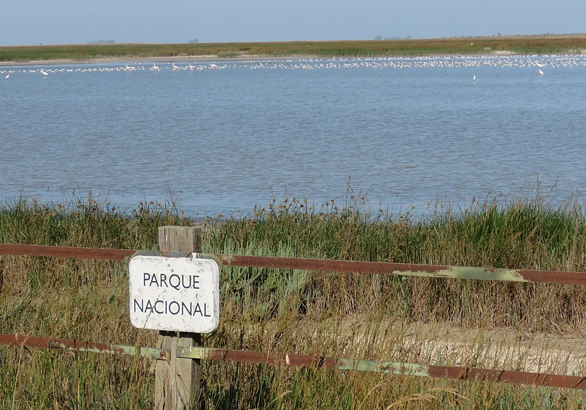 Spain's National High Court accepts WWF's appeal against the demarcation of Doñana's marshlands