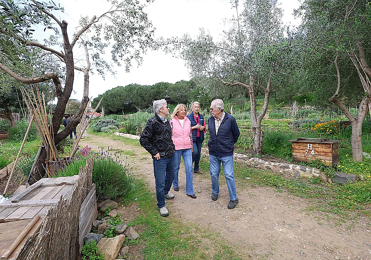 Marbella's urban gardens after 15 years of fostering community life and love for nature