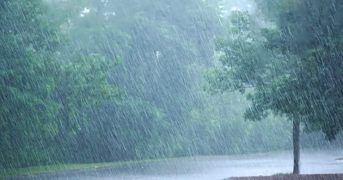 Alfonso Martínez Galilea, intensidad poética