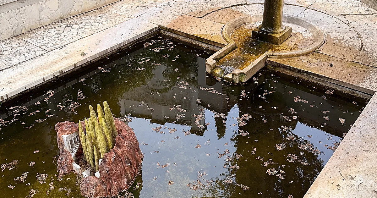 Miguel Ángel Moreno Carretero: micromundos en un universo