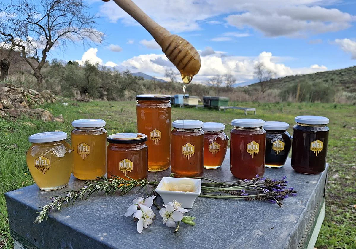 DOP 'Miel de Málaga': un reconocimiento de la excelencia de la apicultura malagueña